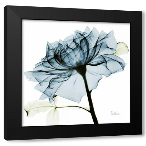 Teal Rose 2 Black Modern Wood Framed Art Print with Double Matting by Koetsier, Albert