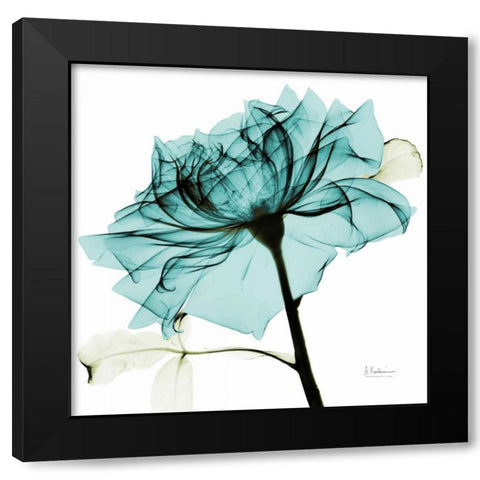 Teal Rose 2 Black Modern Wood Framed Art Print with Double Matting by Koetsier, Albert