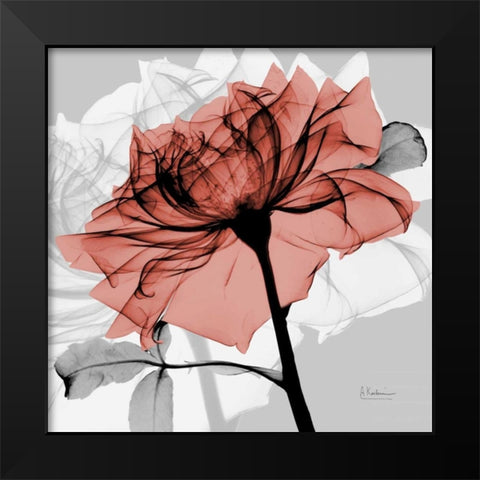 Rose on Gray 2 Black Modern Wood Framed Art Print by Koetsier, Albert