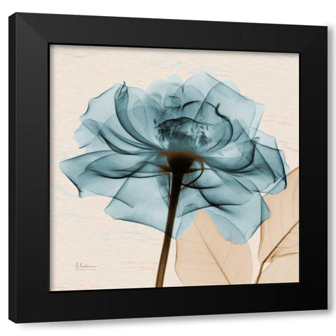 Teal Rose Black Modern Wood Framed Art Print with Double Matting by Koetsier, Albert