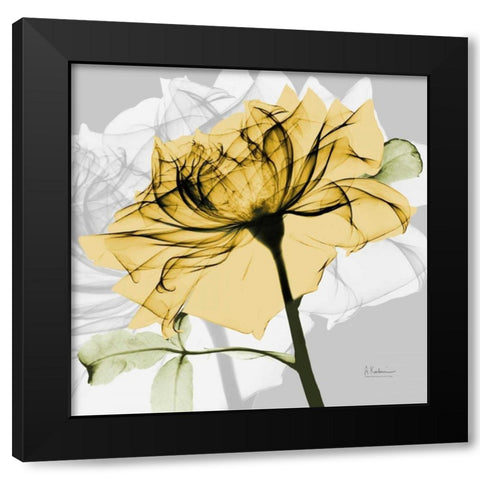 Rose in Gold 5 Black Modern Wood Framed Art Print with Double Matting by Koetsier, Albert