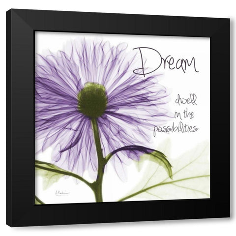 Purple Chrysanthemum Dream Black Modern Wood Framed Art Print by Koetsier, Albert