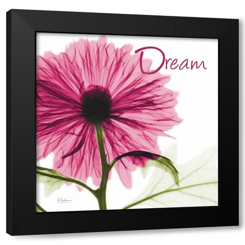 Pink Chrysanthemum Dream Black Modern Wood Framed Art Print with Double Matting by Koetsier, Albert