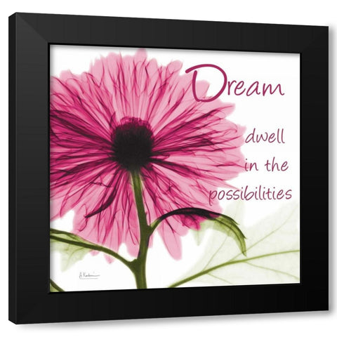 Pink Chrysanthemum Dream 2 Black Modern Wood Framed Art Print with Double Matting by Koetsier, Albert