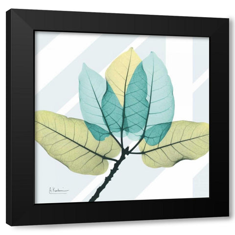 Transitional Ficus Burkey Black Modern Wood Framed Art Print with Double Matting by Koetsier, Albert