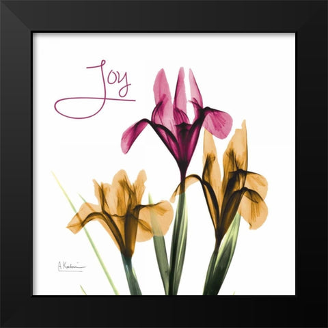 Pink Iris Joy Black Modern Wood Framed Art Print by Koetsier, Albert