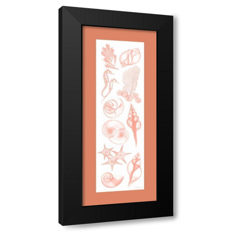 Sealife Coral Matte Black Modern Wood Framed Art Print with Double Matting by Koetsier, Albert