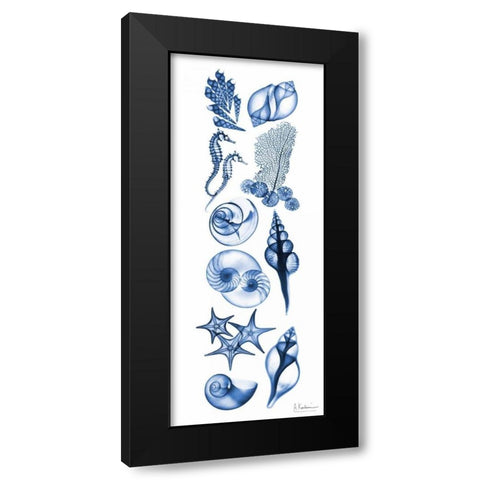 Sealife Blue Black Modern Wood Framed Art Print with Double Matting by Koetsier, Albert