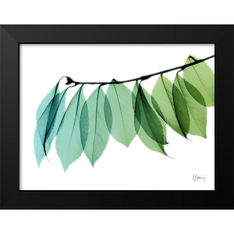 Camelia Leaf II Black Modern Wood Framed Art Print by Koetsier, Albert