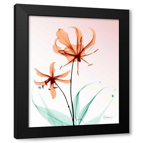 Gloriosa Lily Corals Black Modern Wood Framed Art Print with Double Matting by Koetsier, Albert