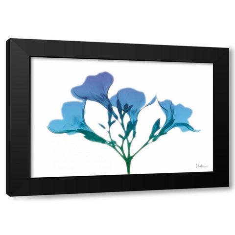 Oleander Turq Indigo Black Modern Wood Framed Art Print with Double Matting by Koetsier, Albert