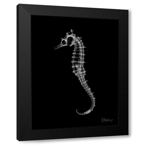 Seahorse In The Dark Black Modern Wood Framed Art Print with Double Matting by Koetsier, Albert