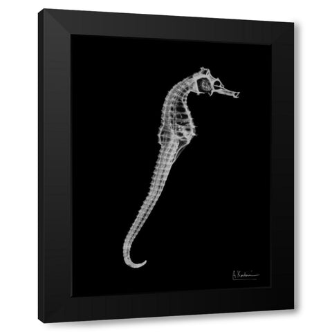 Seahorse In The Black Black Modern Wood Framed Art Print with Double Matting by Koetsier, Albert