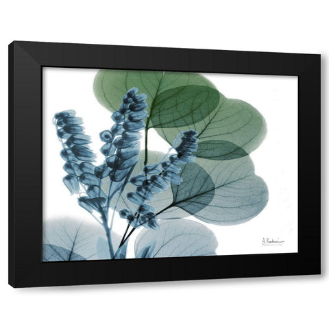 Lilly of Eucalyptus Black Modern Wood Framed Art Print with Double Matting by Koetsier, Albert