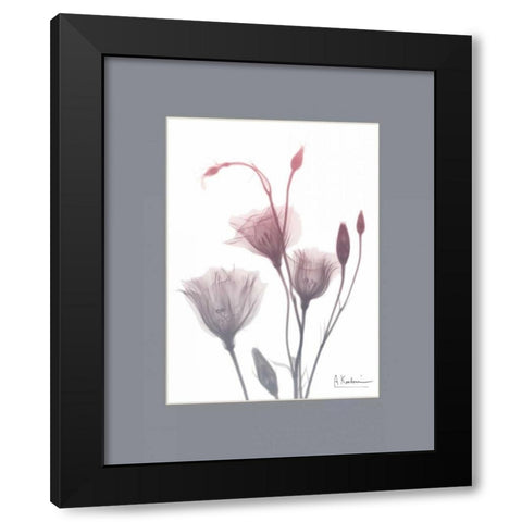 GentianB9 Pink Matte Black Modern Wood Framed Art Print with Double Matting by Koetsier, Albert