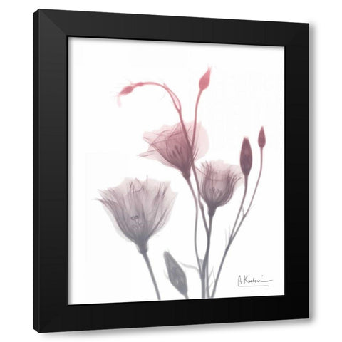 GentianB9 Pink Black Modern Wood Framed Art Print with Double Matting by Koetsier, Albert