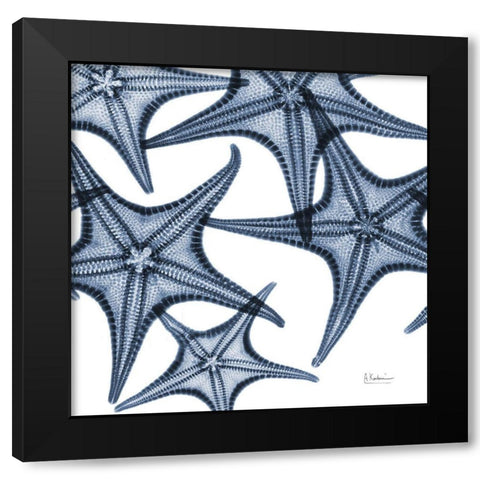 Starfish Trip 4 Black Modern Wood Framed Art Print with Double Matting by Koetsier, Albert