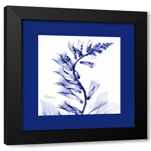 FoxgloveC77 Bordered Black Modern Wood Framed Art Print by Koetsier, Albert
