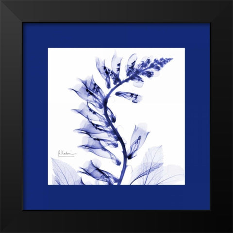 FoxgloveC77 Bordered Black Modern Wood Framed Art Print by Koetsier, Albert