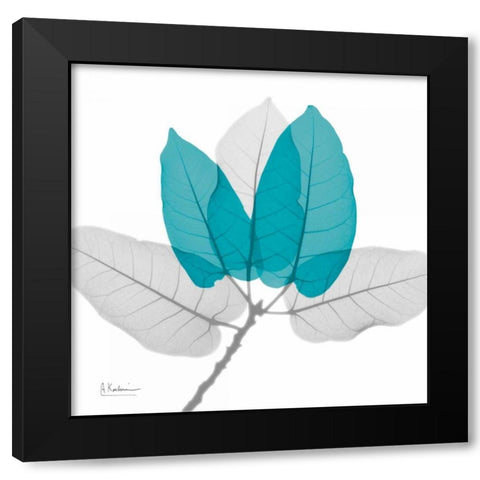 Ficus Burkey Teal Black Modern Wood Framed Art Print with Double Matting by Koetsier, Albert