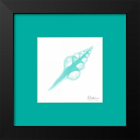 Fusinus Colus Seafoam Matte Black Modern Wood Framed Art Print by Koetsier, Albert