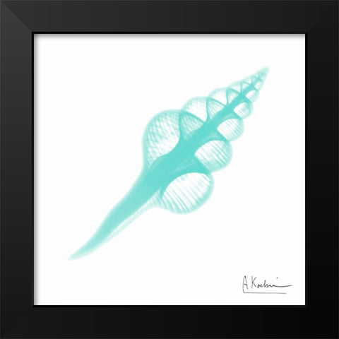 Seafoam Fusinus Colus Black Modern Wood Framed Art Print by Koetsier, Albert