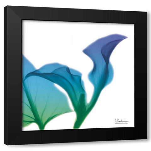 Calla Turq Indigo Black Modern Wood Framed Art Print by Koetsier, Albert