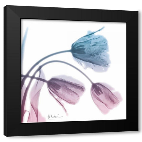 Tulips Rose Serenity Black Modern Wood Framed Art Print with Double Matting by Koetsier, Albert