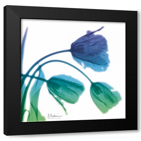 Tulips L83 Turq Blue Black Modern Wood Framed Art Print with Double Matting by Koetsier, Albert