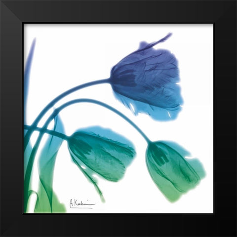 Tulips L83 Turq Blue Black Modern Wood Framed Art Print by Koetsier, Albert
