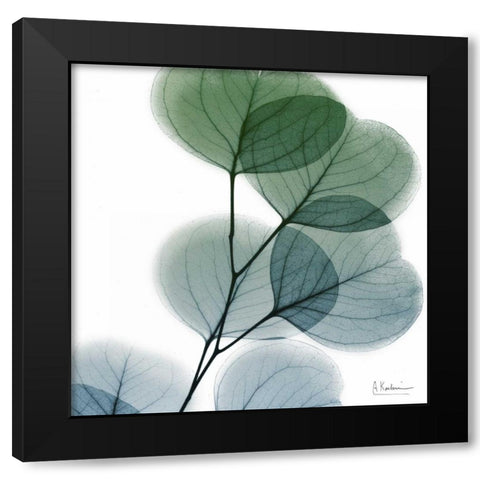 Dull Eucalyptus Black Modern Wood Framed Art Print with Double Matting by Koetsier, Albert