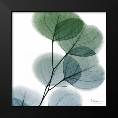 Dull Eucalyptus Black Modern Wood Framed Art Print by Koetsier, Albert