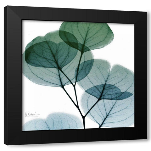 Dull Eucalyptus Mate Black Modern Wood Framed Art Print with Double Matting by Koetsier, Albert