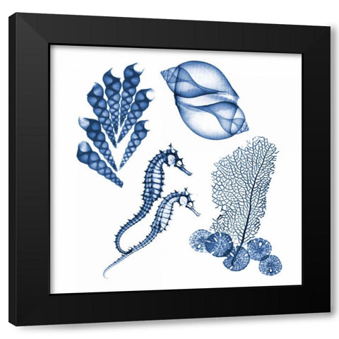 Blue Assortment One Black Modern Wood Framed Art Print with Double Matting by Koetsier, Albert