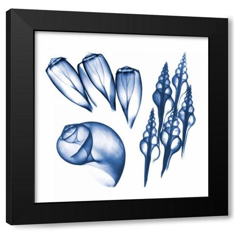 Blue Assortment Five Black Modern Wood Framed Art Print by Koetsier, Albert