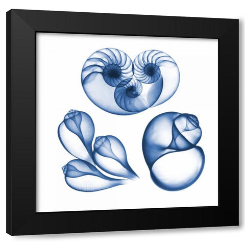 Blue Assortment Six Black Modern Wood Framed Art Print with Double Matting by Koetsier, Albert