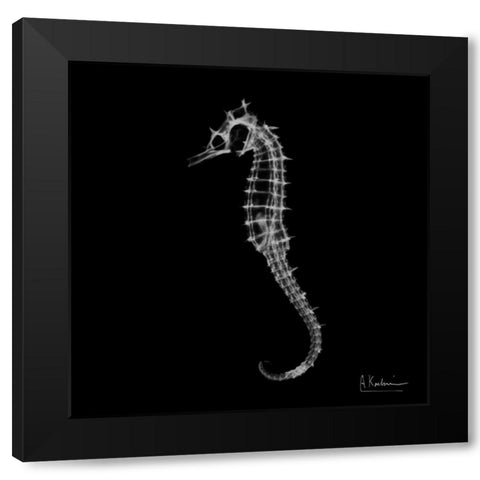 Seahorse In The Dark Black Modern Wood Framed Art Print by Koetsier, Albert