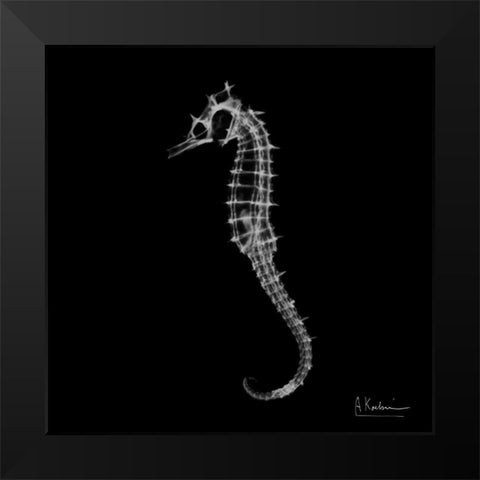 Seahorse In The Dark Black Modern Wood Framed Art Print by Koetsier, Albert