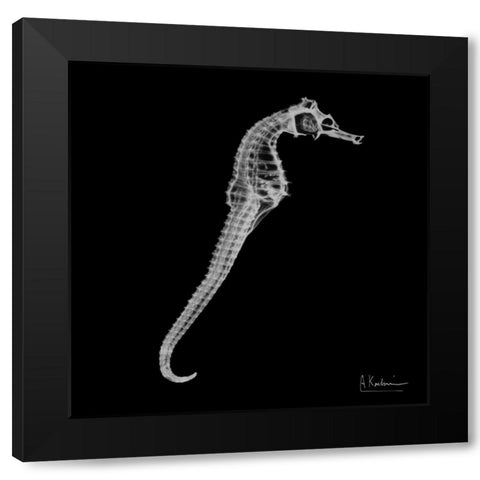 Seahorse In The Black Black Modern Wood Framed Art Print with Double Matting by Koetsier, Albert