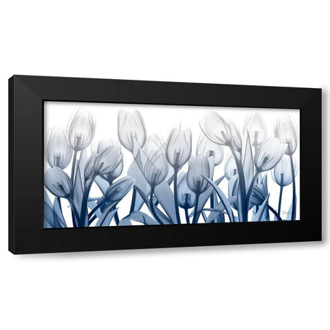 Midnight Blooms 1 Black Modern Wood Framed Art Print by Koetsier, Albert