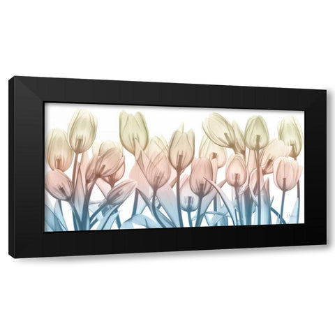 Spring Blooms Black Modern Wood Framed Art Print with Double Matting by Koetsier, Albert