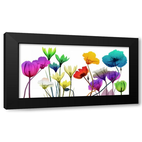 Floral Calm Pop Black Modern Wood Framed Art Print with Double Matting by Koetsier, Albert