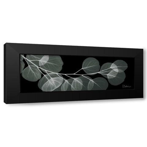 Eucalyptus Night 1 Black Modern Wood Framed Art Print with Double Matting by Koetsier, Albert