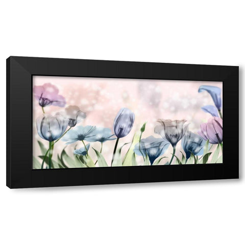 Garden Of Wonders 1 Black Modern Wood Framed Art Print with Double Matting by Koetsier, Albert