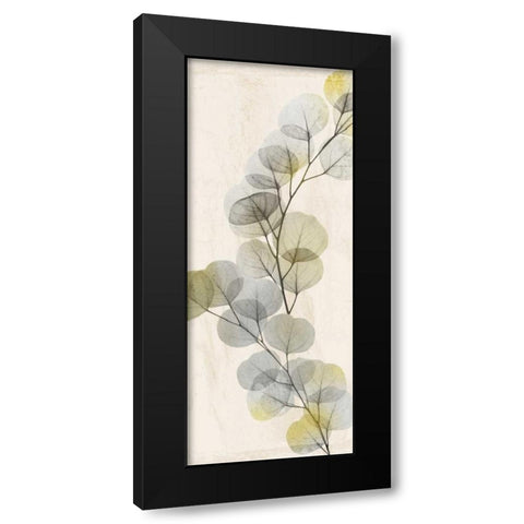 Golden Flaked 2 Black Modern Wood Framed Art Print with Double Matting by Koetsier, Albert