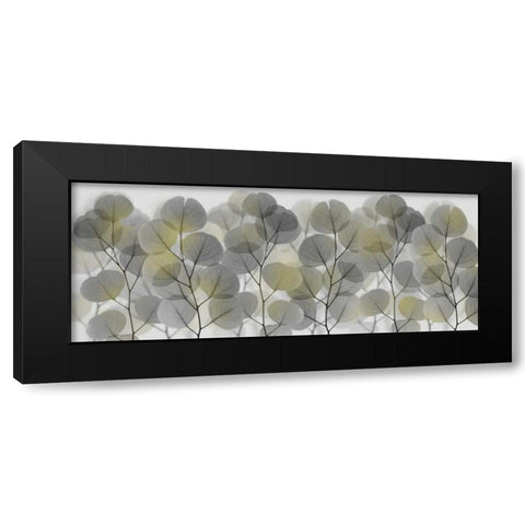 Thru The Brush Black Modern Wood Framed Art Print with Double Matting by Koetsier, Albert