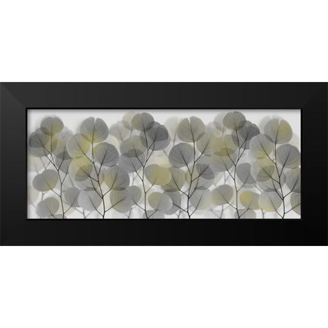 Thru The Brush Black Modern Wood Framed Art Print by Koetsier, Albert