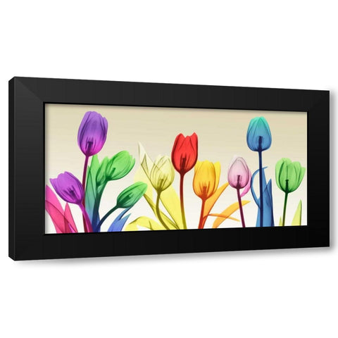 Floral Rainbow Splurge Black Modern Wood Framed Art Print by Koetsier, Albert