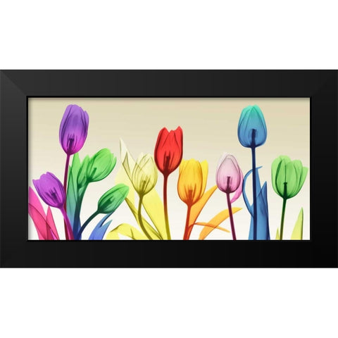 Floral Rainbow Splurge Black Modern Wood Framed Art Print by Koetsier, Albert