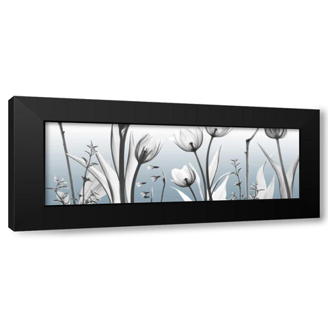 Heavenly Botanicals Black Modern Wood Framed Art Print with Double Matting by Koetsier, Albert